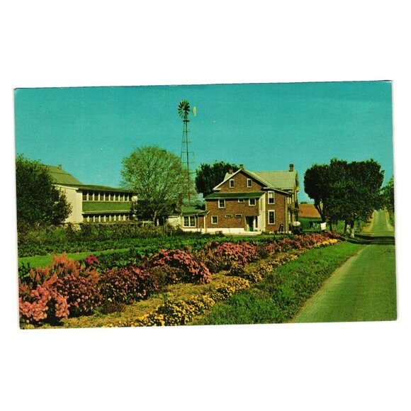 Greetings From The Amish Country Postcard Featuring Windmill Flower Garden PA - Picture 1 of 2